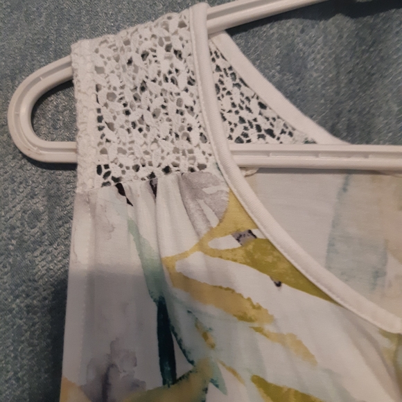 Reitman's tank - Picture 4 of 4